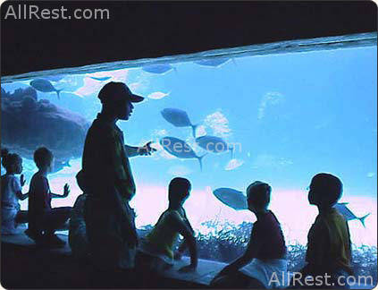 Atlantis Paradise Island Resort 31